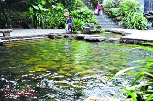 2017年廣州市兩會 水務局預算劍指水污染治理，高效著力環(huán)保技術開發(fā)服務